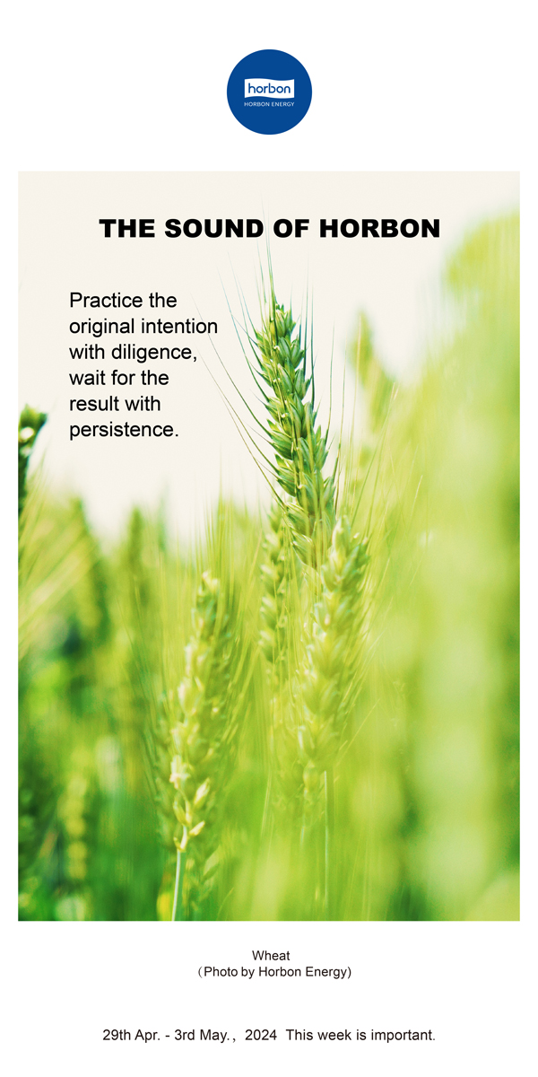 【和之声】用勤劳践行初心，，，，，，用坚持期待效果。。。。。（总第132期）2024.4.29-5英文改小季度推送用.jpg