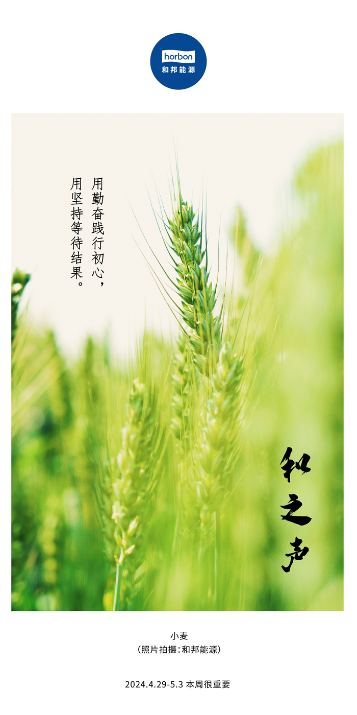 【和之声】用勤劳践行初心，，，用坚持期待效果。。。。。（总第132期）2024.4.29-5中文改小季度推送用.jpg