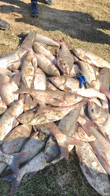 2024.11.23-【和之行】总要来场“冬捕”吧。。。。。。ㄐ⊙┙谄惫び闾痢岸丁蓖沤ɑ疃┬挛排渫几男⊥011.jpg